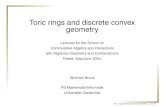 Toric rings and discrete convex geometryToric rings and discrete convex geometry Lectures for the School on Commutative Algebra and Interactions with Algebraic Geometry and Combinatorics
