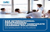 YOUR TRUSTED SAE INTERNATIONAL RESOURCE PROFESSIONAL FOR WORKFORCE DEVELOPMENT ...training.sae.org/seminarsinfo/inhouse/brochure-schroeder.pdf · 2017-07-18 · WHY PROFESSIONAL DEVELOPMENT?