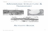 Name: MEMBRANE STRUCTURE TRANSPORT€¦ · (a) Using the information in the graph and your own knowledge on membrane structure and transport mechanisms suggest, with an explanation,