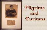 Importance of the Puritans - Mrs Hamilton ELA1. Puritans saw Anglican Church as too like Roman (vestments, ornamentation, corruption). 2. Authority should be at the congregational