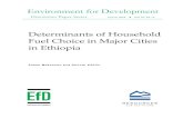 Determinants of Household Fuel Choice in Major Cities in ......determinants of urban households’ choice of fuel important. In the literature on household energy demand and choice,