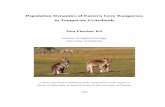 Population dynamics of eastern grey kangaroos in temperate grasslands… · 2017-07-02 · in Temperate Grasslands Don Fletcher BA Institute of Applied Ecology University of Canberra