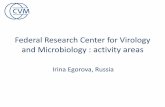 and Microbiology : activity areas - CLINF · influenza, anthrax, lumpy skin disease, sheep and goat pox and risk assessment for determination of spreading causative agents of infections
