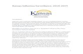 Kansas Influenza Surveillance, 2005-2006Influenza Influenza, Flu, Flu Like Influenza No Flu, Denies Flu, Shot, Vaccine, Immunization, Stomach Included Diagnosis Codes Excluded Diagnosis