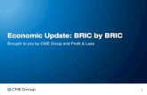 Economic Update: BRIC by BRIC - CME Group · Economic Update: BRIC by BRIC Blu Putnam Samantha Azzarello Chief Economist Economist November, 2013 The research views expressed herein