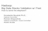 Big Data Stacks Validation - 123seminarsonly.com...4.Automatic validation using corresponding stack of integration tests 5.Rinse and repeat Challenges: Maven versions vs. packaged
