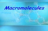 Macromolecules - Macromolecules â€¢Large organic molecules. â€¢Also called POLYMERS. â€¢Made up of smaller