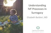 Understanding IVF Processes in Surrogacy IVF in Surrogacy 101 IVF Basics How IVF in Surrogacy is Different