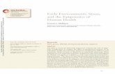 Early Environments, Stress, and the Epigenetics of …users.clas.ufl.edu/mulligan/Webpage/EarlyEnvironments.pdfAnnu. Rev. Anthropol. 2016.45:233-249. Downloaded from Access provided