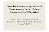 New Techniques in Agricultural Biotechnology in the Light of …focalpointbg.com/files/FPConf2017/19_Presentation_-_Genoveva_Na… · Zinc Finger Nuclease-1 (ZFN-1) / Zinc Finger