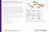 TotalSeq™ Antibody Oligonucleotide Conjugates NK B CD8 T ... · Great advances in next generation sequencing (NGS) and . droplet-based microfluidic technologies have enabled transcriptome