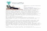 MPU Filming Permission Release Form€¦ · Web viewThis section can contain text, graphical or video information and may also include the healthcare provider branding. Giraffe Healthcare
