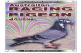 Courtesy of The Australian Racing Pigeon Journalpigeon racing took hold) and he later operated an offshore factory to escape substantially higher English wages of the period and it