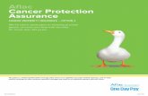 Aflac Cancer Protection Assurance - Mapleton€¦ · Aflac herein means American Family Life Assurance Company of Columbus. AFLAC CANCER PROTECTION ASSURANCE C 2 CANCER INDEMNITY