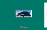 Environmental Report 2001 · Enel’s 2001 Environmental Report reviews the activities that the companies of the Enel Group carried out in Italy in 2001. The data refer to the Group’s