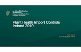 Plant Health Import Controls Ireland 2019 · • Basil; Israel, Cut flowers from Kenya, Plants for planting; Australia, New Zealand, Mangoes; India, Blueberries; Chile • The import