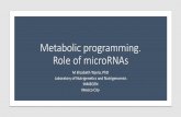 Metabolic programming. Role of microRNAs · Nutrigenómica Author: Liz Tejero Created Date: 5/24/2017 9:02:52 AM ...