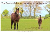 The France Galop perspective on euthanasia...my presentation to the euthanasia on the racecourse. Euthanasia is always a very difficult moment for the vet. The vet practitioner must: