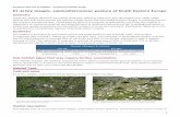 E1.1j Dry steppic, submediterranean pasture of South ... · 11/1/2016  · European Red List of Habitats - Grasslands Habitat Group E1.1j Dry steppic, submediterranean pasture of