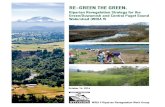 RE-GREEN THE GREEN - Govlink€¦ · RE-GREEN THE GREEN Riparian Revegetation Strategy for the Green/Duwamish and Central Puget Sound Watershed (WRIA 9) October 14, 2016 Written for
