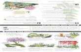 Native Landscape Planting Guide · 2019-09-29 · Purple Sage / Salvia leucophylla White Sage / Salvia apiana 6' 6' 5' 6' 4' 5' 4' 4' Showy Penstemon / Penstemon spectabilis California