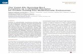 Developmental Cell Article - Maitreya Dunhamdunham.gs.washington.edu/BRO1.pdf · 2013-06-20 · Developmental Cell Article The Yeast Alix Homolog Bro1 Functions as a Ubiquitin Receptor