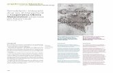 Antonio Armesto Salvador Tarragó - COnnecting REpositories · 2017-09-10 · 102 arquitectura històrica | 103 arquitectura històrica secció a càrrec d’Antonio Armesto i Salvador