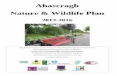 Ahascragh Nature & Wildlife Plan · Ahascragh Nature & Wildlife Plan 2013-2016 This project received grant aid from Galway Rural Development Company Ltd., Rural Development Programme