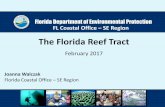 The Florida Reef Tract - TCRPC · protect southeast Florida’s coral reefs and associated reef resources, emphasizing balance between resource use and protection, in cooperation