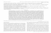 Antiprotozoal activity of flavonoids from Eupatorium arnottianum. … · 2018-06-02 · 2 Citation: Clavin M, Cazorla S, Spina R, et al. Antiprotozoal activity of flavonoids from