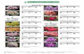 New varieties 2017-2018 - RHODODENDRON, AZALEA, KALMIA ...vitroplant.be/new2017-18.pdf · New varieties 2017-2018 Williamsianum hybrid Rhododendrons August Lamken-21°C 1,2 m ('Dr.