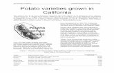 Potato varieties grown in California varieties suitable for the hot interior valleys, more disease resistant