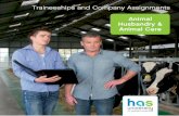 Traineeships and Company Assignments · a pig or poultry farmer). Students who are more interested in the Animal Husbandry sector (for dogs, cats and horses, for example), spend 1