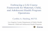 Embracing a Life Course Framework for Maternal, Child ... · TodayToday s’s Presentation Presentation From preconception health to life course trajectory Mapping programs and services
