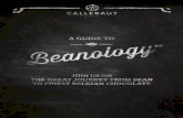 2 3 - Callebaut · 2017-08-04 · OF COCOA BEANS FOR THE BODY AND SOUL OF YOUR CHOCOLATE Starting from the Beanologist’s selection, our Master Blender uses West African beans to