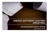 ENERGY EFFICIENT LIGHTING: INDUSTRIAL · LIGHTING RETROFIT: INDUSTRIAL| 42 Frank Agraz is a principal owner at Maneri~Agraz, LLC, a national turn-key lighting retrofit solutions provider.