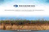 Nitrate/Sulfate Addition and Syntrophic Biodegradation · 2019-03-13 · Nitrate/Sulfate Addition and Syntrophic Biodegradation: Kickstarting Petroleum Biodegradation ... community
