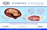 FOGSI FOCUS · conference In New Delhi , ... education for high-quality obstetric care. No longer a “neglected epidemic”, widespread knowledge of the high rates of maternal morbidity
