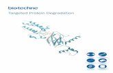 Targeted Protein Degradation - Tocris Bioscience...protein degradation (TPD) is an area of increasing research interest. The approach employs two small molecules joined by a linker.