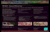 thin sections Are your thin sections too thick? Not flat? Minerals … · thin section services to the minerals exploration, geothermal, oil and construction industries. National