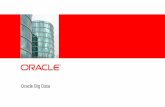 Oracle Big Data€¦ · •Apache Hadoop Distribution v0.20.x •R Distribution •Oracle NoSQL Database Enterprise Edition •Oracle Data Integrator Application Adapter for Hadoop