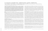 A mouse model for adenovirus gene delivery · 2011-03-29 · A mouse model for adenovirus gene delivery Tiziano Tallone*, Stephen Malin*, Annika Samuelsson*, Johannes Wilbertz†,