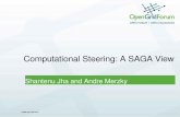 Computational Steering: A SAGA View - a SAGA...• Standardising the API does not guarantee it will be usable by all application use cases! • Interoperability: Good thing, but at