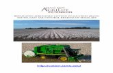 Texas A&M AgriLifeagrilifecdn.tamu.edu/coastalbend/files/2016/06/2015-RACE... · 2016-06-17 · varieties. Figure 1 illustrates the cotton production regions of Texas. From the latest