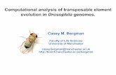Computational analysis of transposable element evolution ...bergmanlab.genetics.uga.edu/wp-content/uploads/2010/02/BergmanICG2008.pdfLong Terminal Repeat (LTR) (A)n. Why is the discovery