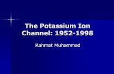 The Potassium Ion Channel: 1952-1998web.mit.edu/9.013/www/presentations/Rahmat2.pdf · K+ ion selectivity model: 1998 Upon entering the selectivity filter, the ion dehydrates Carbonyl