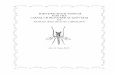 IDENTIFICATION MANUAL FOR THE LARVAL ... Quality/Environmental...IDENTIFICATION MANUAL FOR THE LARVAL CHIRONOMIDAE (DIPTERA) OF NORTH AND SOUTH CAROLINA John H. Epler, Ph.D. Aquatic