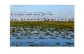 Status and Trends of Wetlands for Galveston County, Texas ......3 Status and Trends of Wetlands for Galveston County, Texas 2004-2009 Tropical Storms and Hurricanes 20 Human Development