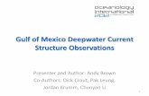 Gulf of Mexico Deepwater Current Structure Observations · Gulf of Mexico deep waters •Data are obtained from an average of 30 rigs or platforms (stations) at any given time since