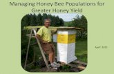 Managing Honey Bee Populations for Greater Honey Yieldpcbeekeepers.org/.../Maximizing-Honey-Production-20152.pdf · 2015-04-15 · Managing Honey Bee Populations for Greater Honey
